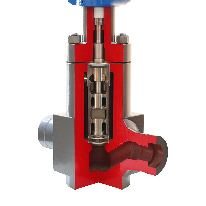 BR.W61D Series Multistage depressurization single seat control valve