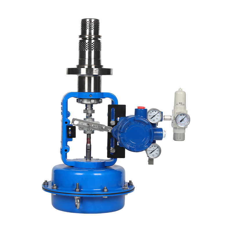 BR.W61D Series Multistage depressurization single seat control valve