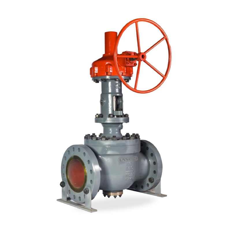 BR.W64M Series cage control valve