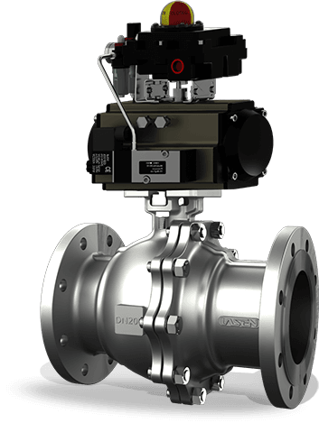 BR.W8 Series Ball Valves